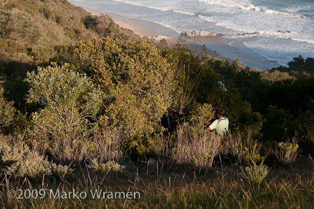 MW-SouthAfrica-Wilderness-20091023-6394